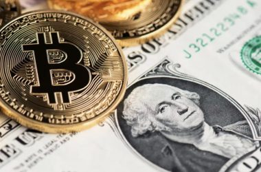 Which Crypto Can You Borrow?