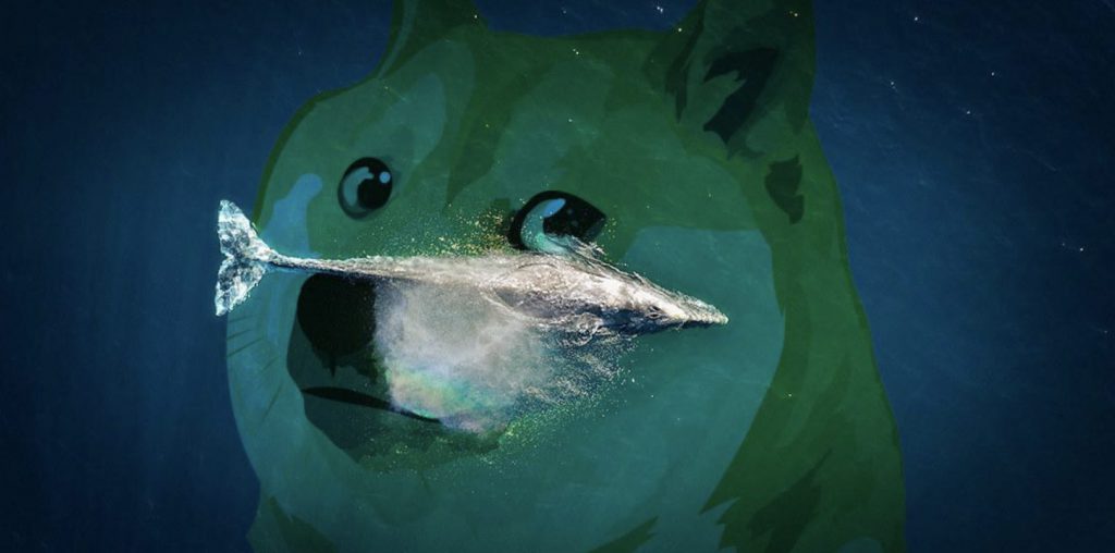 Dogecoin Whales Trigger Deep Drop: Unleashing Massive Moves