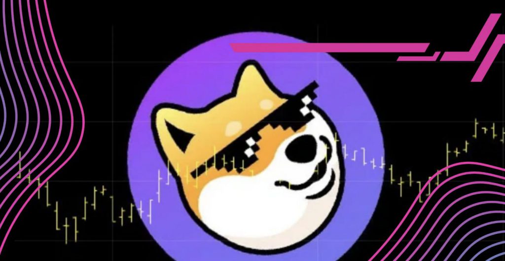 چگونه Dogechain را به MetaMask اضافه کنیم