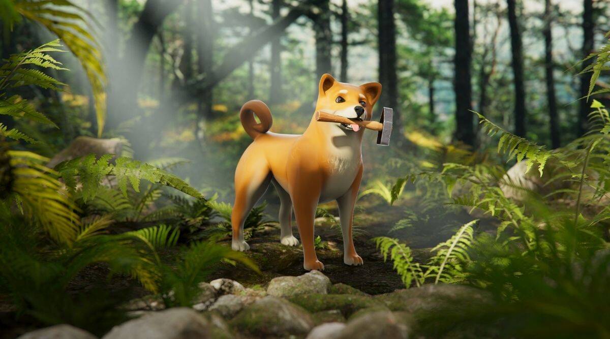 SHIB The Metaverse از پیش نمایش Rocket Pond رونمایی می کند