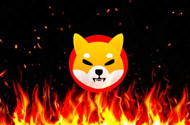 Shiba Inu