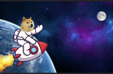 dogecoin to the moon doge