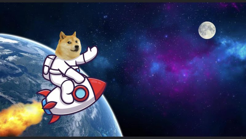 dogecoin to the moon doge