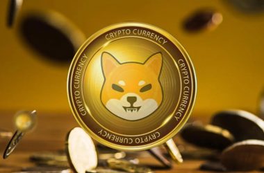 Shiba Inu: 700% Increase in Large SHIB Transactions Observed in 48 Hours