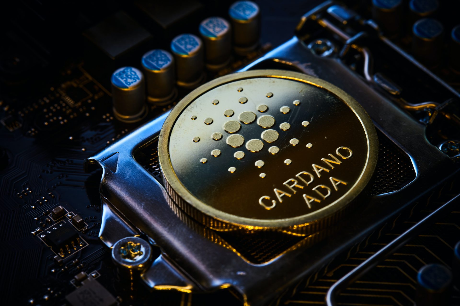 Cardano Rises By 5% As Rest of The Market Perishes
