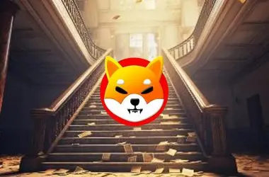 Shiba Inu Money Rich