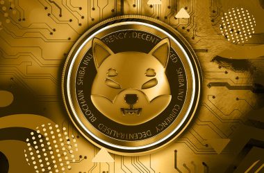 Shiba Inu Massive Transaction Volume Surpasses 1.6 Trillion SHIB