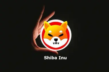 Shiba Inu Zero Lights