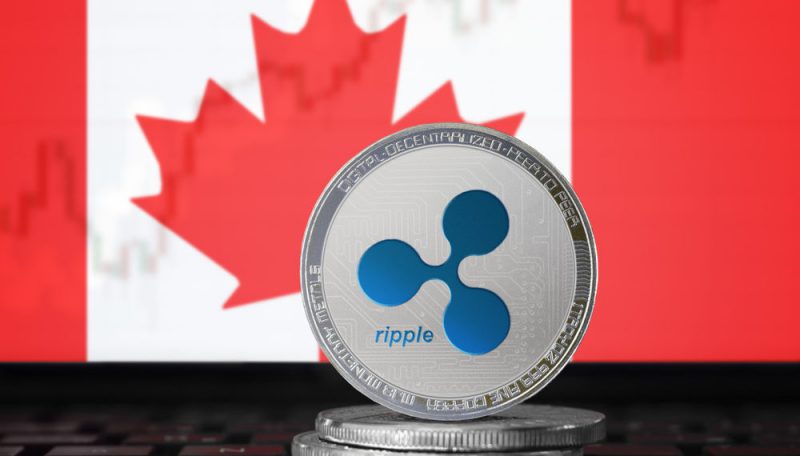 Ripple Partners with Canada's Largest University to Launch XRP Validator