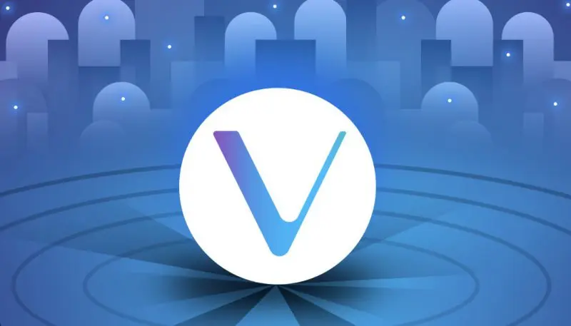 Can you Add Vechain to Metamask?