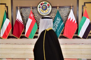 Gulf countries summit nations flags brics
