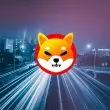 shiba inu shib street bokeh lights