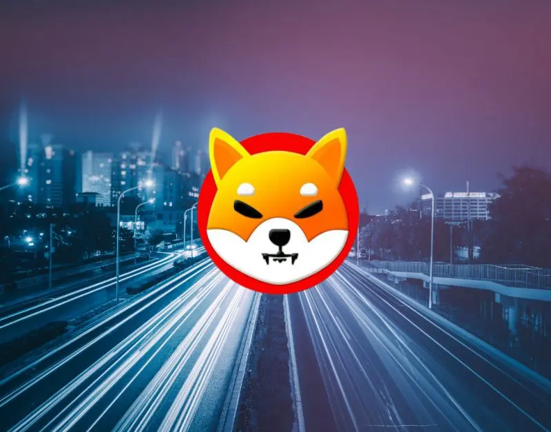 shiba inu shib street bokeh lights