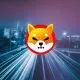 shiba inu shib street bokeh lights