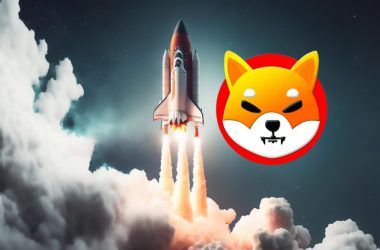 shiba inu moon rocket