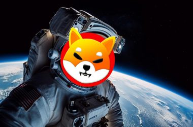 Shiba Inu SHIB Moon Space Astronaut