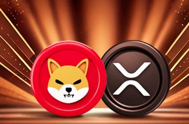 shiba inu shib ripple xrp