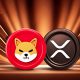 shiba inu shib ripple xrp