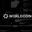 Worldcoin (WLD) Market Cap Surges to $350 million, Price Doubles