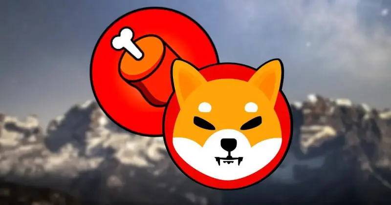 Shiba Inu bone