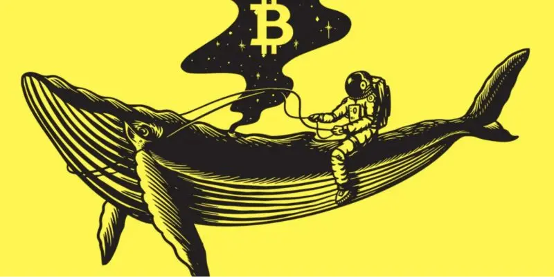 What are Crypto Whales?