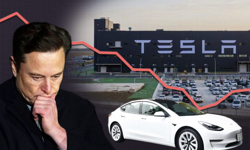 Why should i buy best sale tesla stock