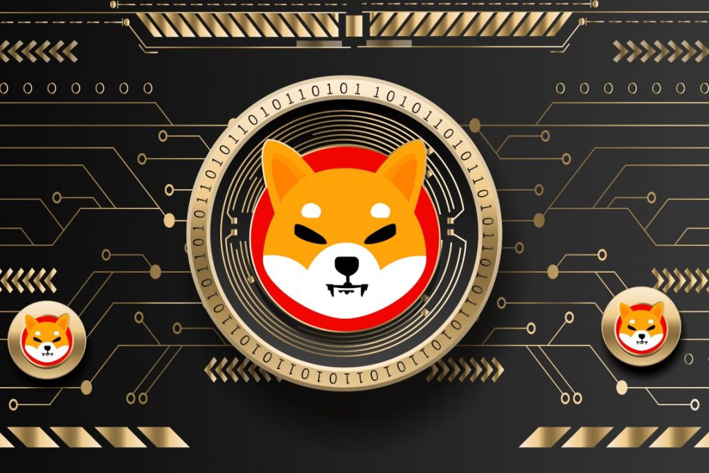 Shiba Inu Price Dips: Key Team Member Shares Insights