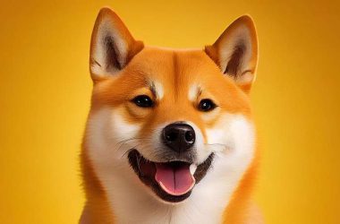 Shiba Inu