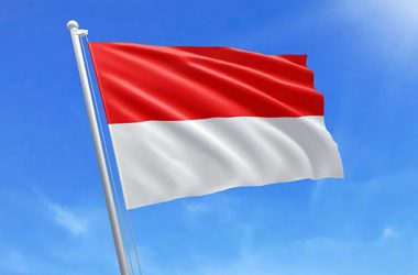 Indonesia flag brics