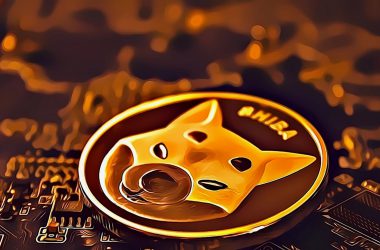 Shiba Inu Profitability Plunges Alongside Slumping Price