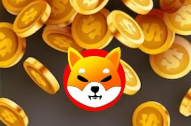 Shiba Inu Rich Dollar Millionaire Billionaire SHIB