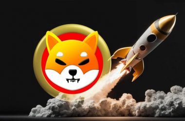 shiba inu rocket moon shib
