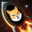 Shiba Inu SHIB Rocket