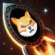 Shiba Inu SHIB Rocket