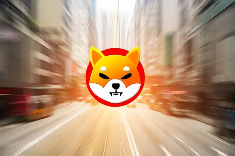 shiba inu shib street lights city bokeh
