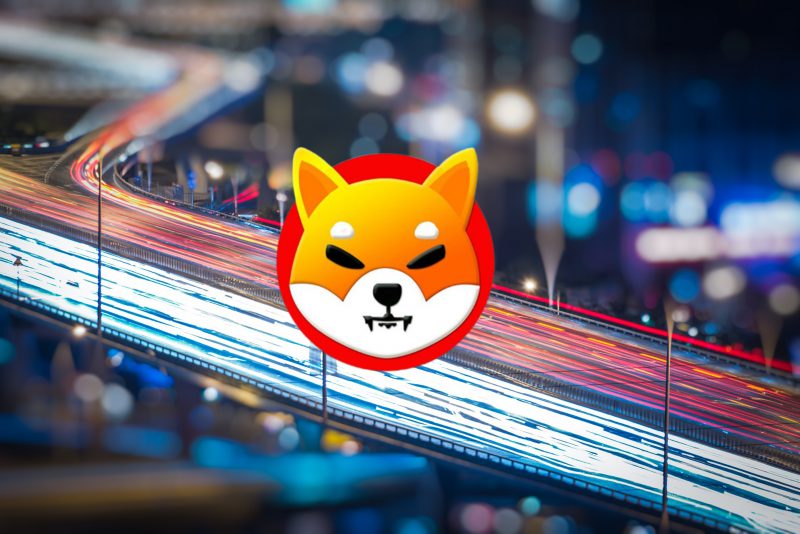 shiba inu city lights boken street