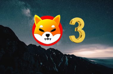 Shiba Inu turns 3 years birthday