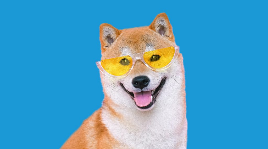 Shiba Inu