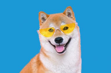 Shiba Inu