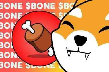 Shiba Inu