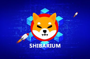 Shiba inu