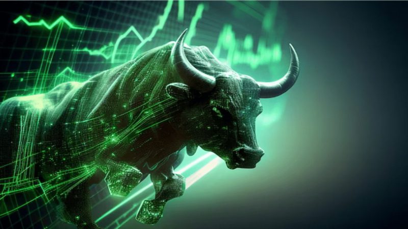 cryptocurrency bull