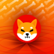 Shiba Inu