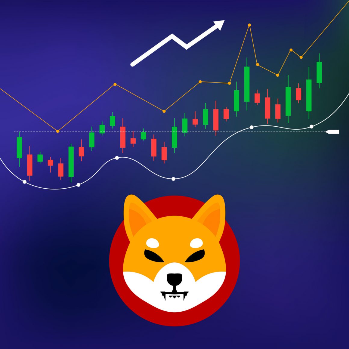 Shiba Inu Price Prediction for 2025, 2030 and 2050