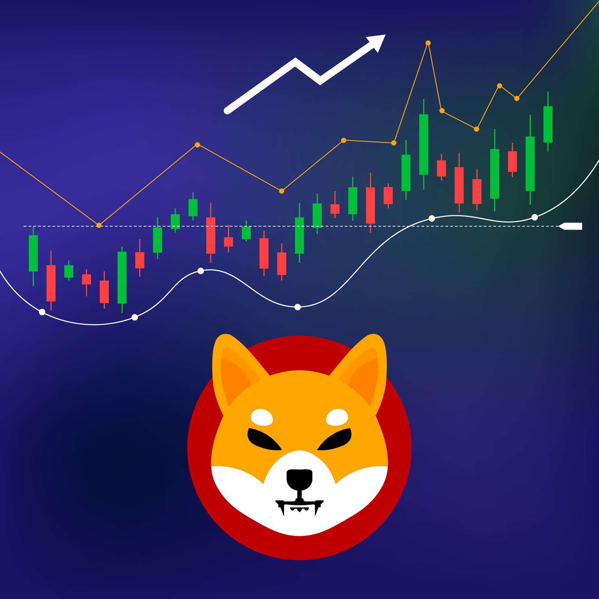 Shiba Inu Coin Price Prediction 2025