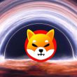 Shiba Inu rainbow moon space