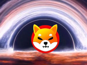 Shiba Inu rainbow moon space