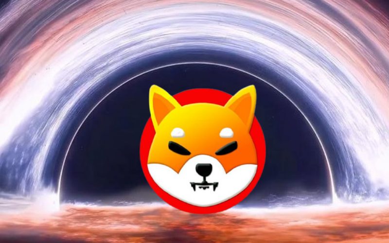 Shiba Inu rainbow moon space