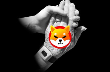 shiba inu shib diamond hands young and old