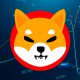 Shiba Inu